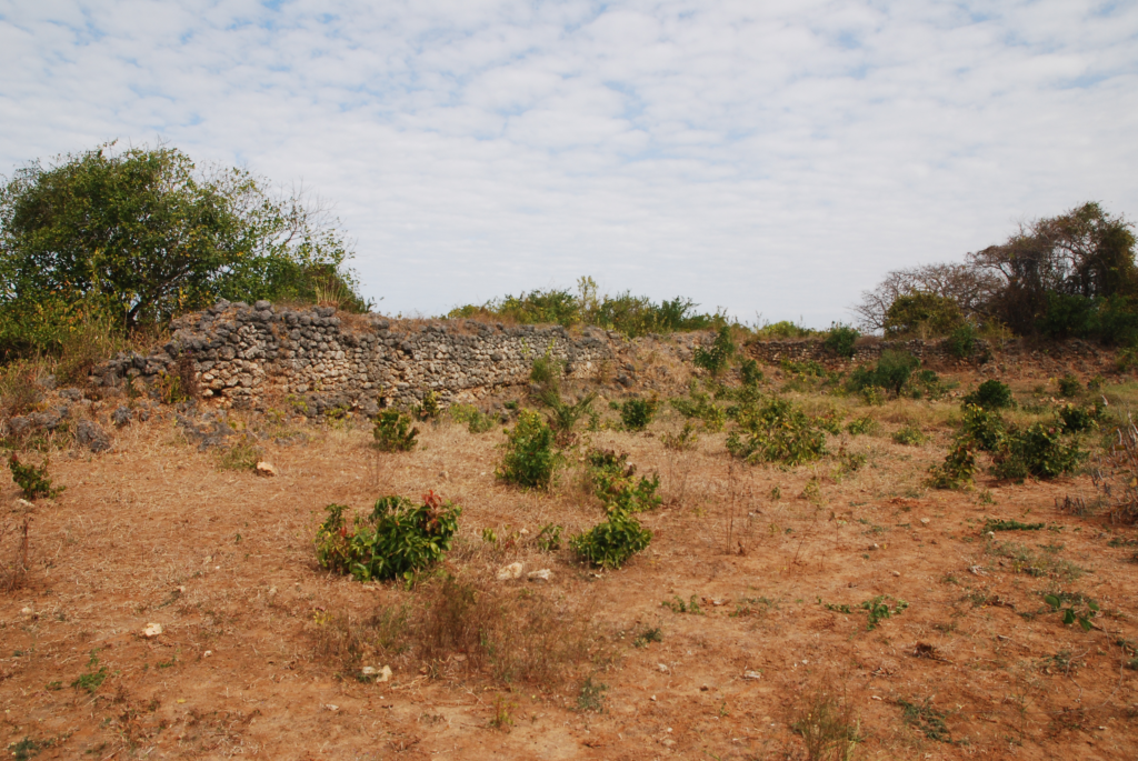 Photograph of the remaining walls of Husuni Ndogo. 